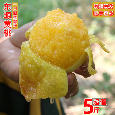 【软甜多汁】【撕皮】黄桃
