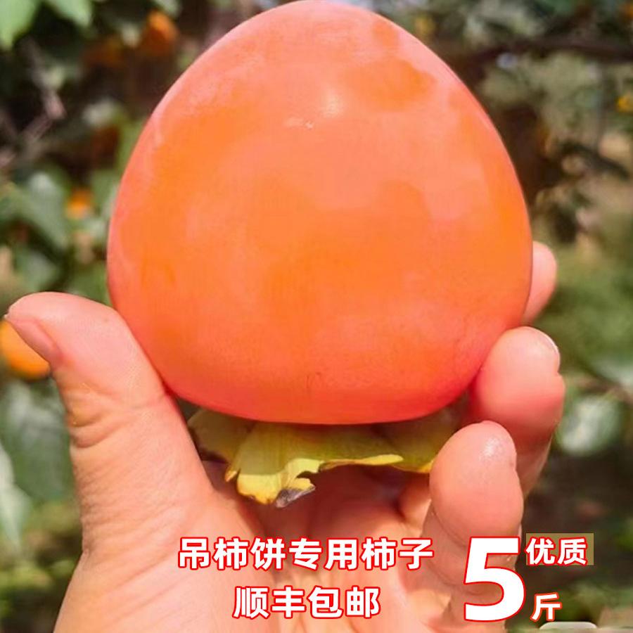 【超甜】【挂柿饼专用】富平尖柿