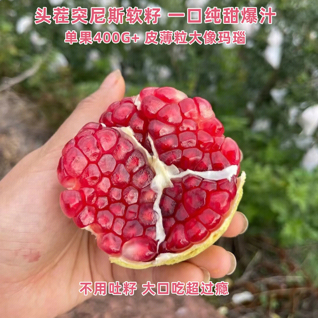 正宗突尼斯软籽石榴新鲜现摘当季水果5斤整箱包邮无籽红宝石石榴