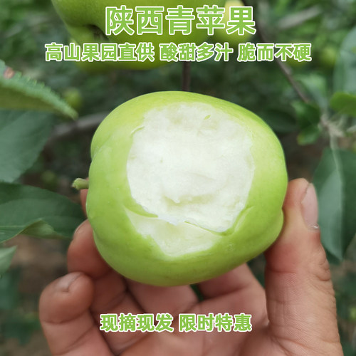 【酸甜脆爽】【儿童孕妇】青苹果