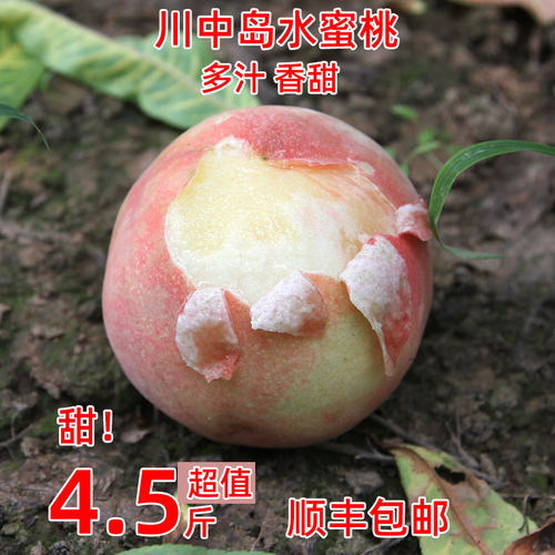 陕西正宗水蜜桃新鲜水果