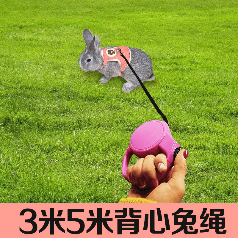 兔子牵引绳溜小白兔垂耳侏儒兔兔狗牵引绳