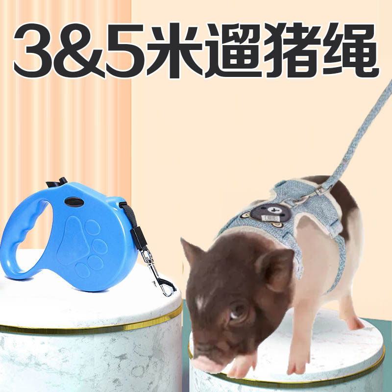 小香猪牵引绳生活用品