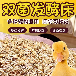柯尔鸭子发酵床垫料分解幼小鸡鸭鹅兔鹌鹑仓鼠窝宠物木屑锯沫刨花