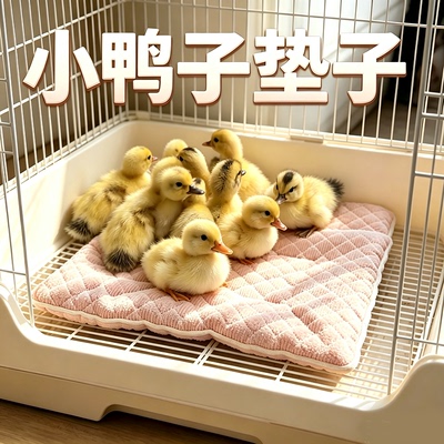 小鸭子垫子四季通用笼垫夏天降温