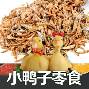 柯尔鸭零食小鱼干虾干虫干芦丁鸡小鹅吃的食物饲料家养雏专用粮食