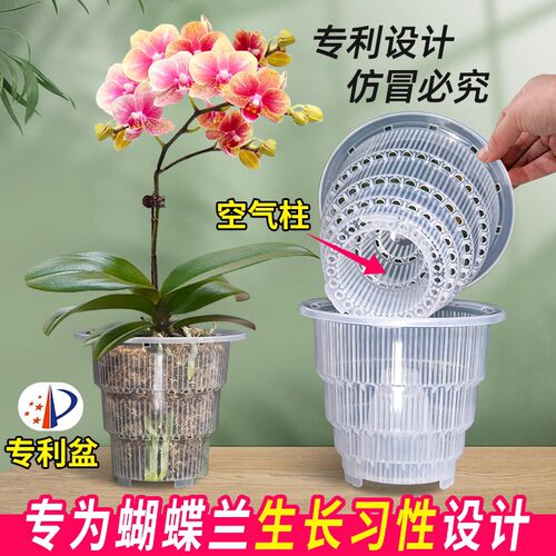 美莳控根花盆蝴蝶兰专用盆石斛透气洋兰塑料花盆高档轻奢 - 封面