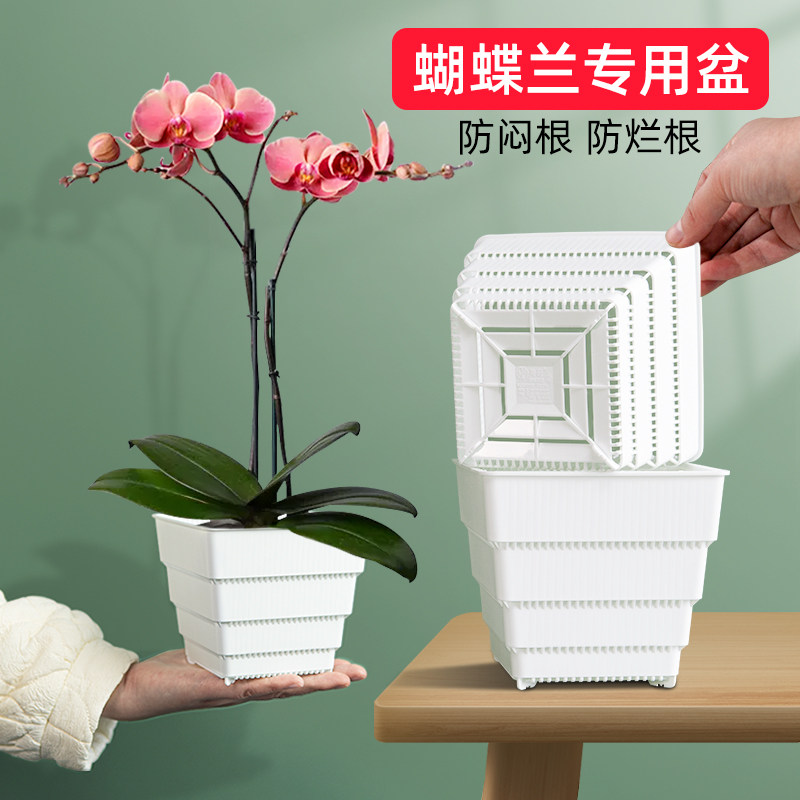 美莳方形蝴蝶兰专用花盆树脂透气控根塑料杯水苔青山小号白色套盆