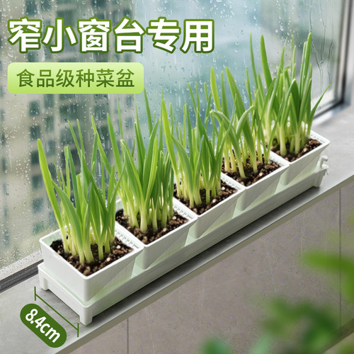 美莳窗台种菜专用盆长方形阳台懒人食品级塑料长条形家用种葱花箱