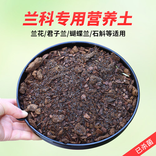 兰花专用土兰花土透气兰花营养土家用蝴蝶兰石斛君子兰植料松树皮 - 封面