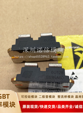 E53NA50 APT8030JN APT2X101D120J APT60GF120JRD DSEI2X101-12A