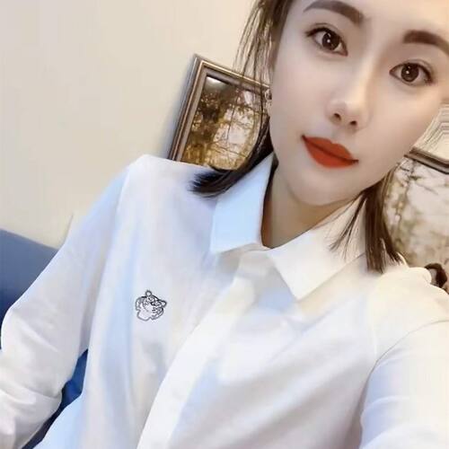 欧货新款女装春季简约刺绣虎头黑白翻领长袖衬衫女时尚POLO衫