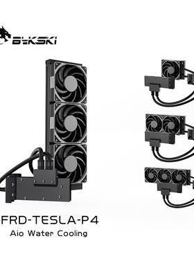 Bykski B-FRD-TESLA-P4 显卡一体式水冷 TESLA P4