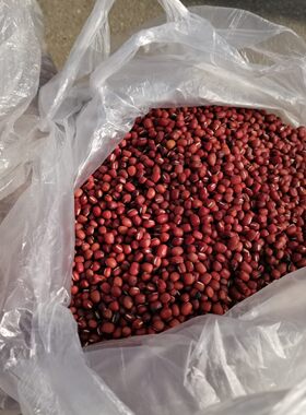 20年秦巴农家自种自产熬粥红小豆