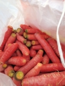 秦巴农家胡萝卜脆嫩香甜红萝卜
