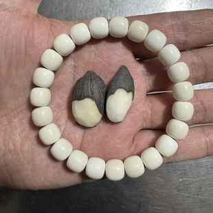 正宗白玉菩提子 打磨抛光手串 长串非菩提根 尺寸5-10mm油棕果白
