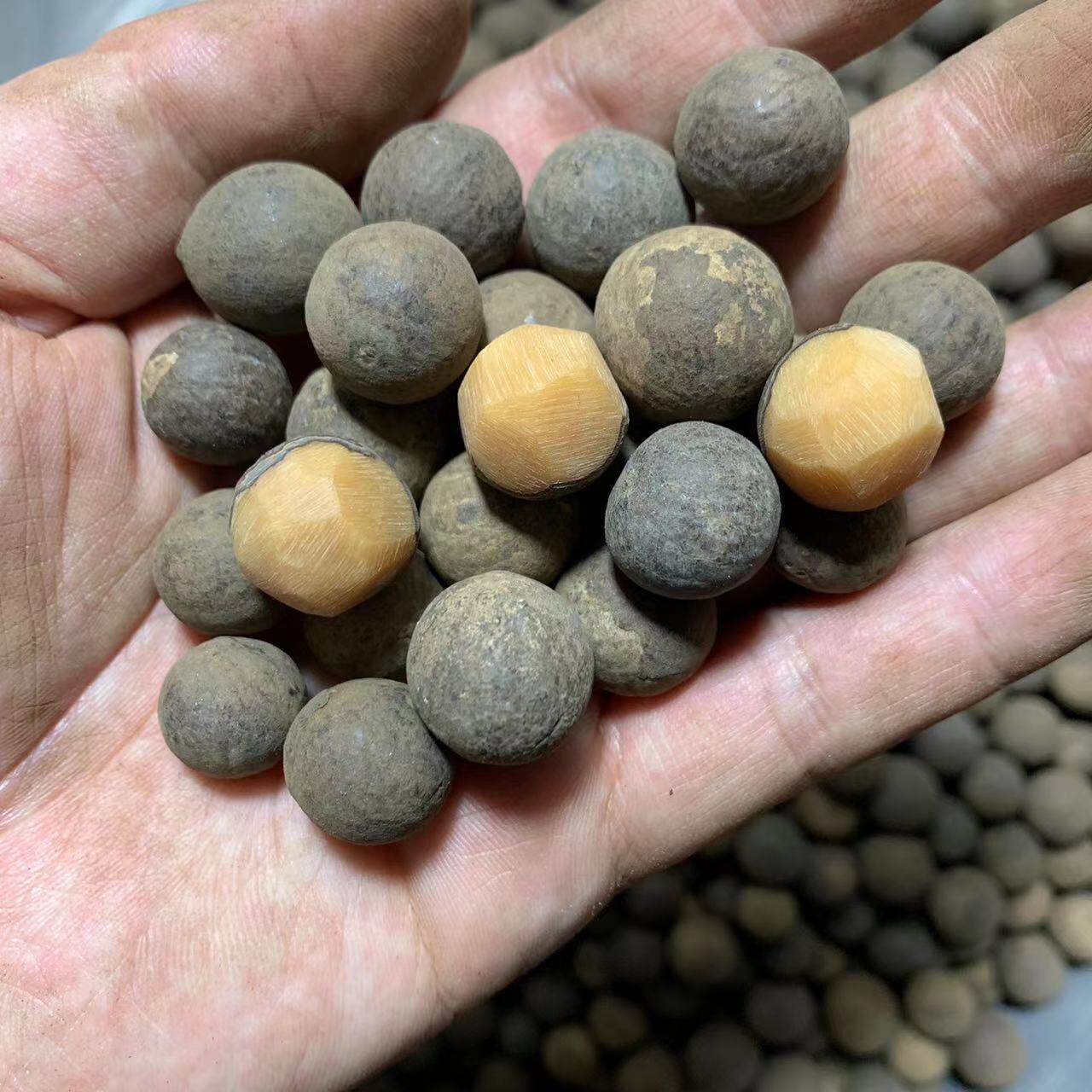 菩提根原料小个风化菩提根老籽贝叶棕菩提根手串原籽diy12-17mm