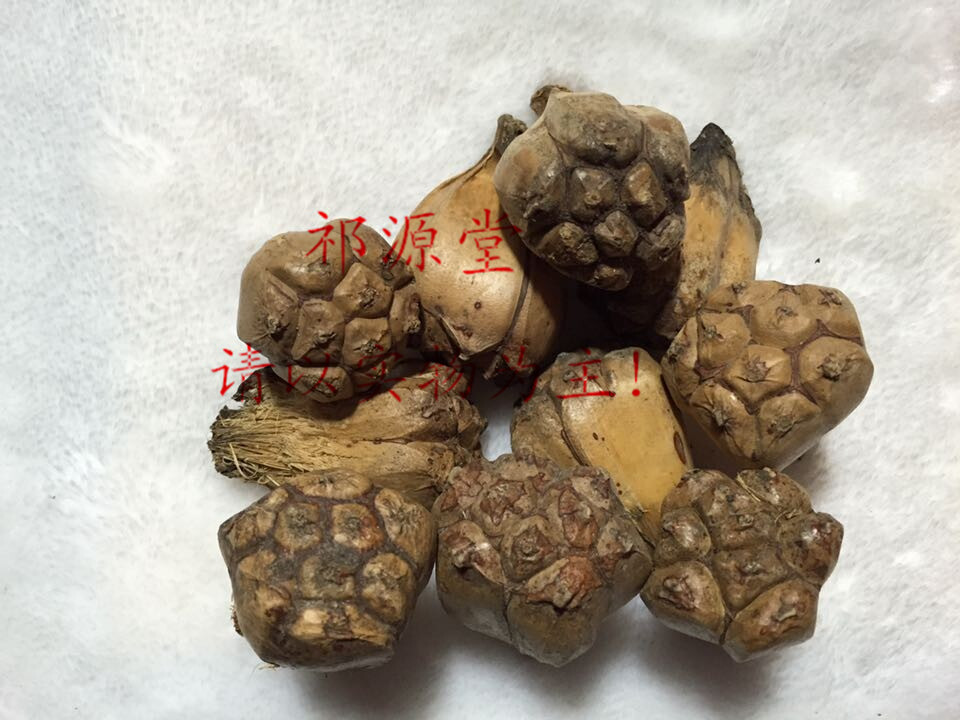 滴血莲花原籽 原料 菩提子 落地红 山菠萝 野菠萝 500g克一斤