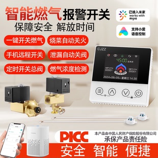 智能燃气报警器开关自动定时关火器液化气天然气煤气瓶泄漏自闭阀