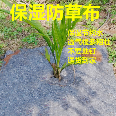 保湿保温防晒隔热防寒防冻防草布