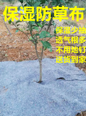 果园果树包树头护根保暖保温防寒防冻保湿防晒防草除草布农用地膜