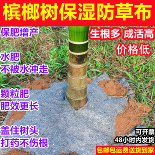 槟榔树根保湿防草布保湿布黑棉毡吸水保湿地毯抑草地膜柑橘无纺布