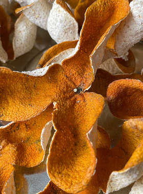 【2025年梅江原枝冬后大红皮】原枝冬后大红皮高香高甜浓郁