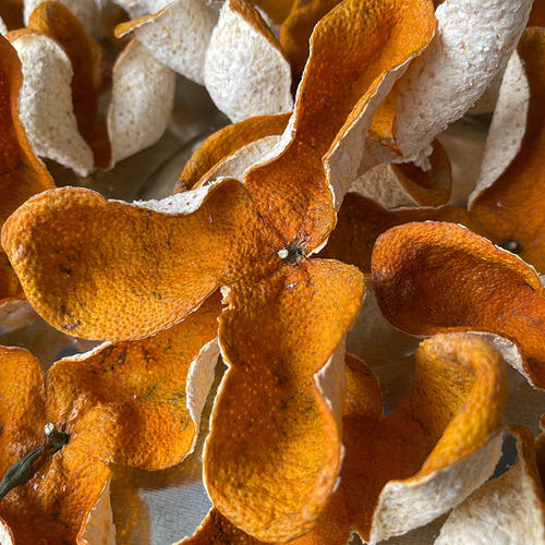 新会陈皮2024年梅江原枝大红皮