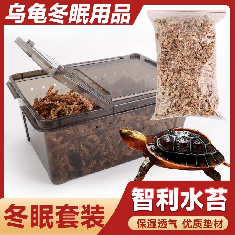 乌龟冬眠箱智利水苔保温盒爬宠保湿垫材半水黄缘过冬用品苔藓套装