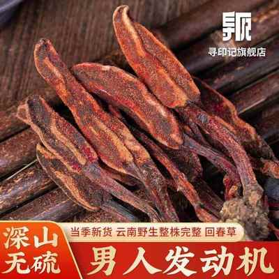 回春草野生500g云南新货正品深山采挖顶天柱草男滋补泡酒泡茶打粉