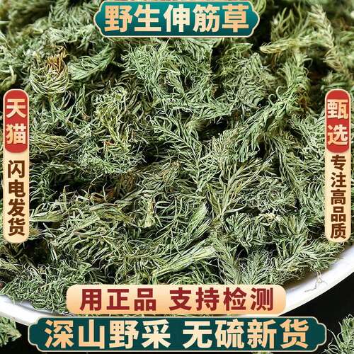 伸筋草中药材500克正品旗舰店野生小伸筋草中药透骨草白芥子泡脚