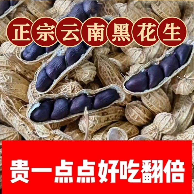 云南黑花生黑花生2025新货晒干黑花生种带壳黑皮花生米