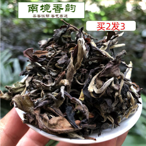 2025年头春茶南境香韵哀牢山老树茶散茶微发酵白茶香高甘甜苦涩 - 封面