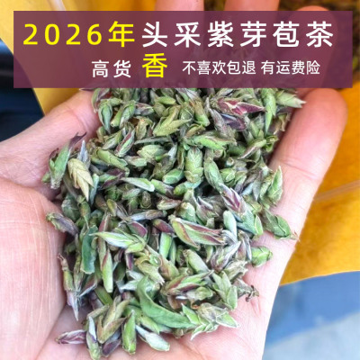 2026年新茶云南头采紫芽孢