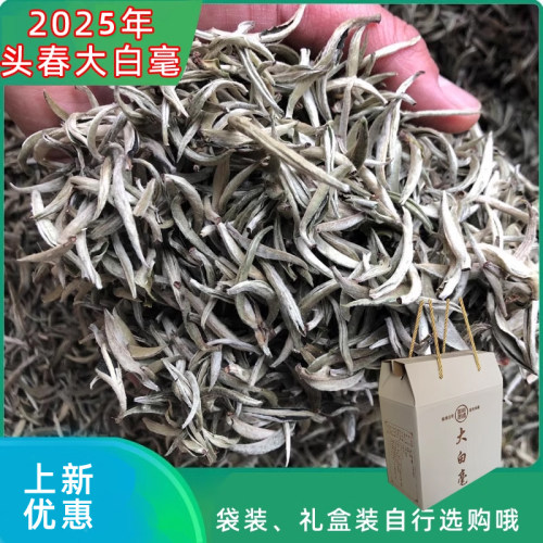 云南白茶甘甜不苦涩白毫银针