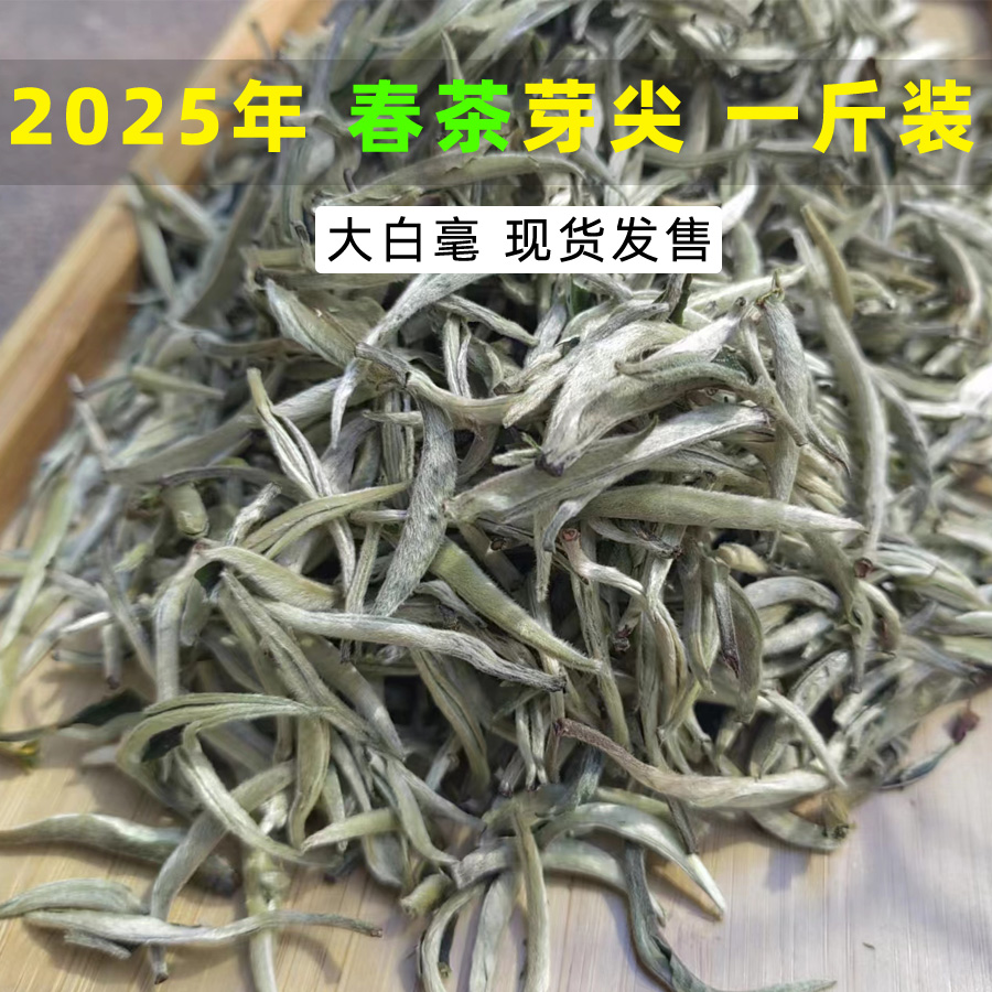 2025年頭春云南大白毫銀針散茶