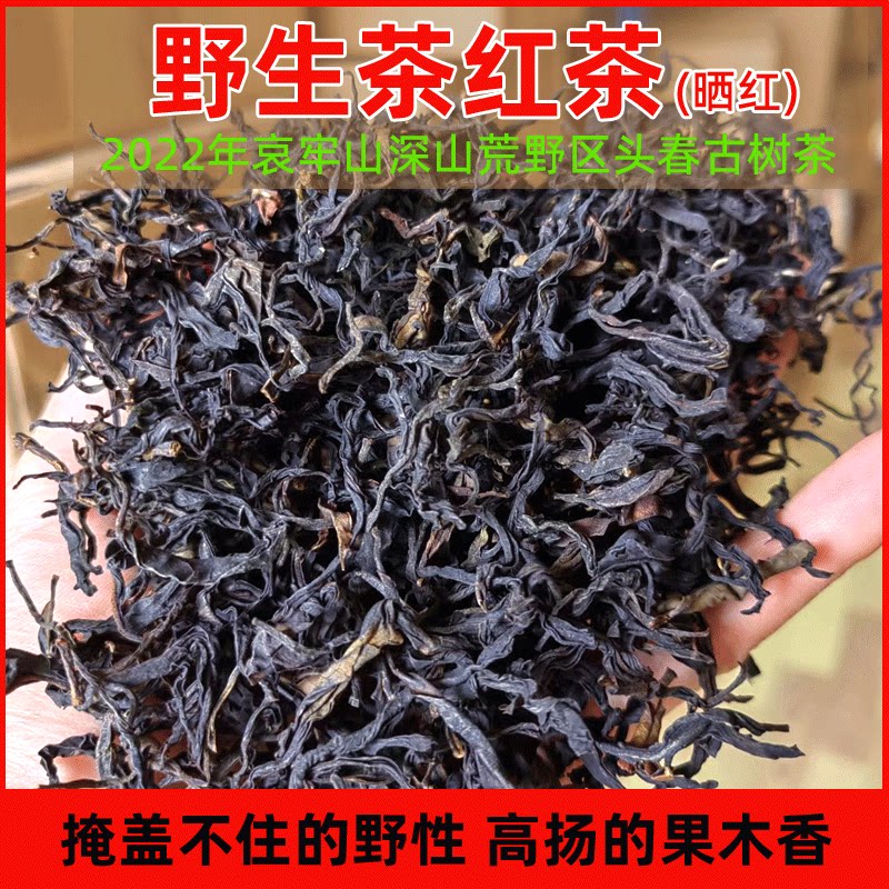 2022年春茶云南野生古树红茶晒红工艺200克花果香茶 南境茶年
