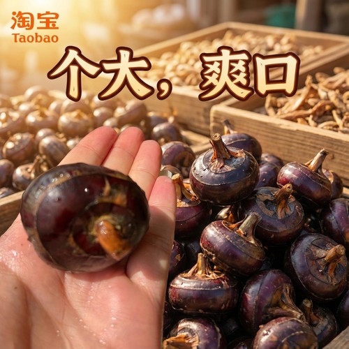 新鲜马蹄荸荠9斤特大果马蹄包邮新鲜水果带泥脆甜当季现挖荸荠