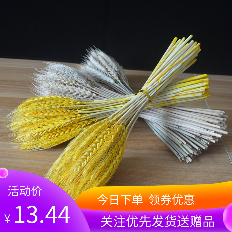 创意盘饰麦穗酒店凉热意境菜品盘头装饰点缀黄金干麦穗50支|msdalam kategori dapur/memasak Appliances, Alat dapur/Penyimpanan dapur, Sushi peralatan DIY, sushi Kit/kit memasak - dari Buy2taobao.com untuk memberikan perkhidmatan ejen Taobao profesional membeli