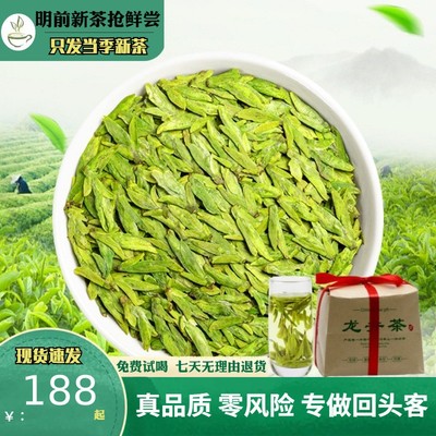 龙井茶2024明前早春新茶杭州高山豆香型乌牛早茶茶叶绿茶散装200g