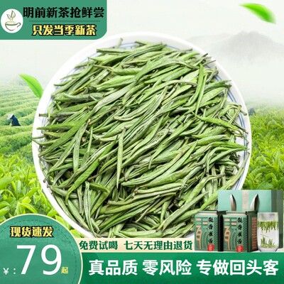 雀舌茶叶绿茶散装2024新茶明前高山云雾湄潭毛尖翠芽竹叶炒青茶