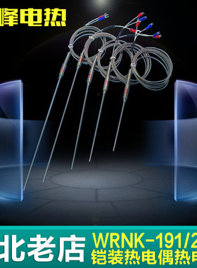K/J/T型测温铠装热电偶探针式WRNK-191/291温度传感器PT100热电阻