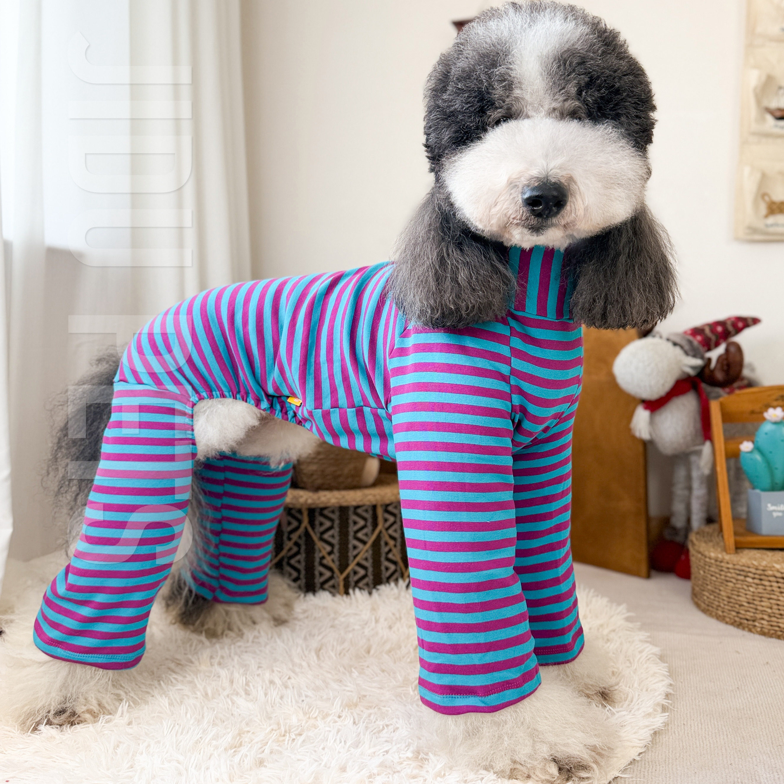 大型犬宠物四脚加长薄绒狗狗条纹连体衣保暖家居服可外穿宠物服装,宠物/宠物食品及用品,狗宠物服装/雨衣,淘宝优惠券,粉丝福利购,淘宝优惠卷