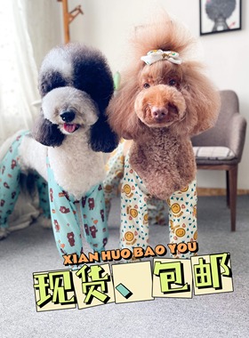 吉多熊家宠物狗狗毛比熊巨贵户外防水套袖防尿防脏腿套雨衣护关节