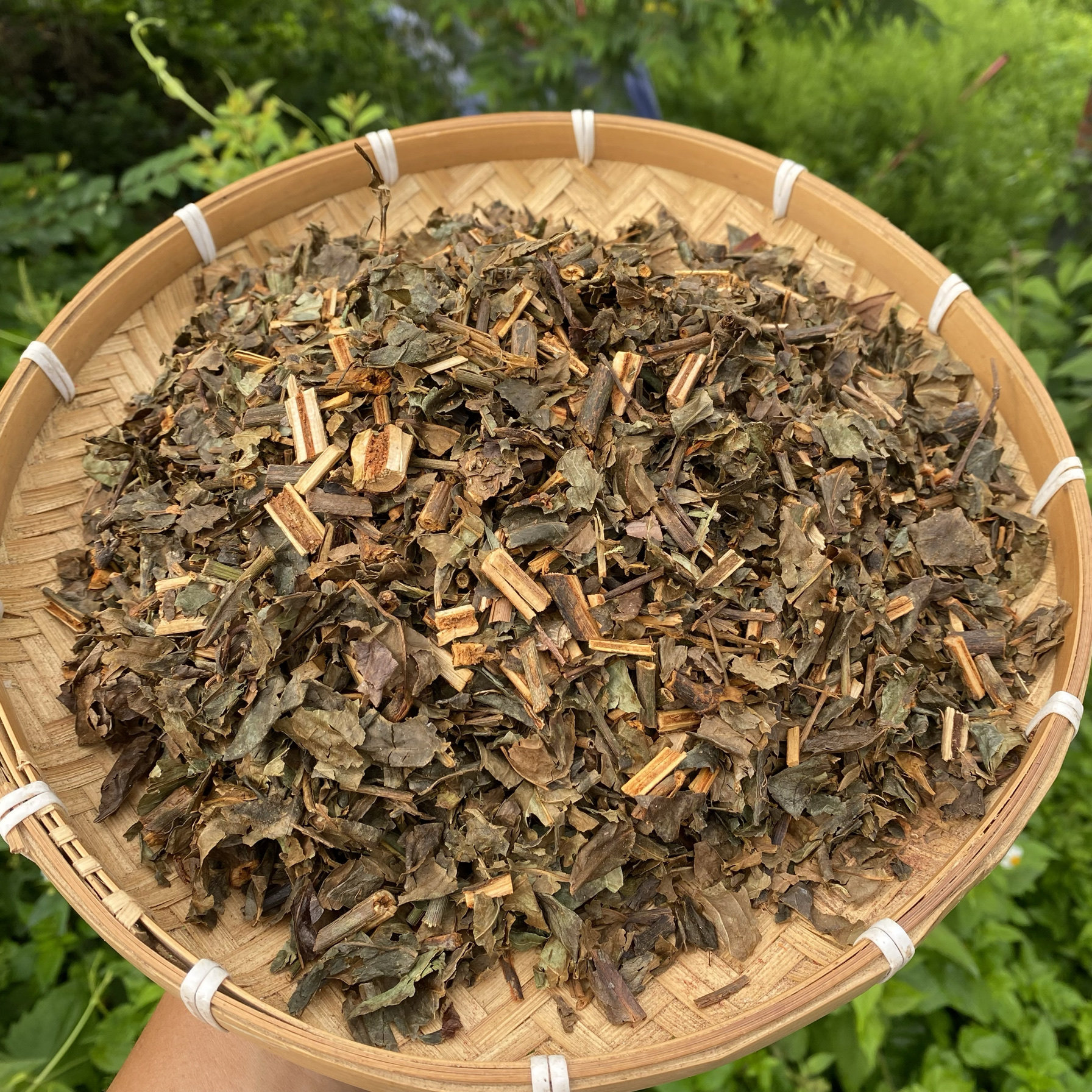 缅甸正品[消焱大王2]可搭虫草王 煮水有沉香味和青草香味