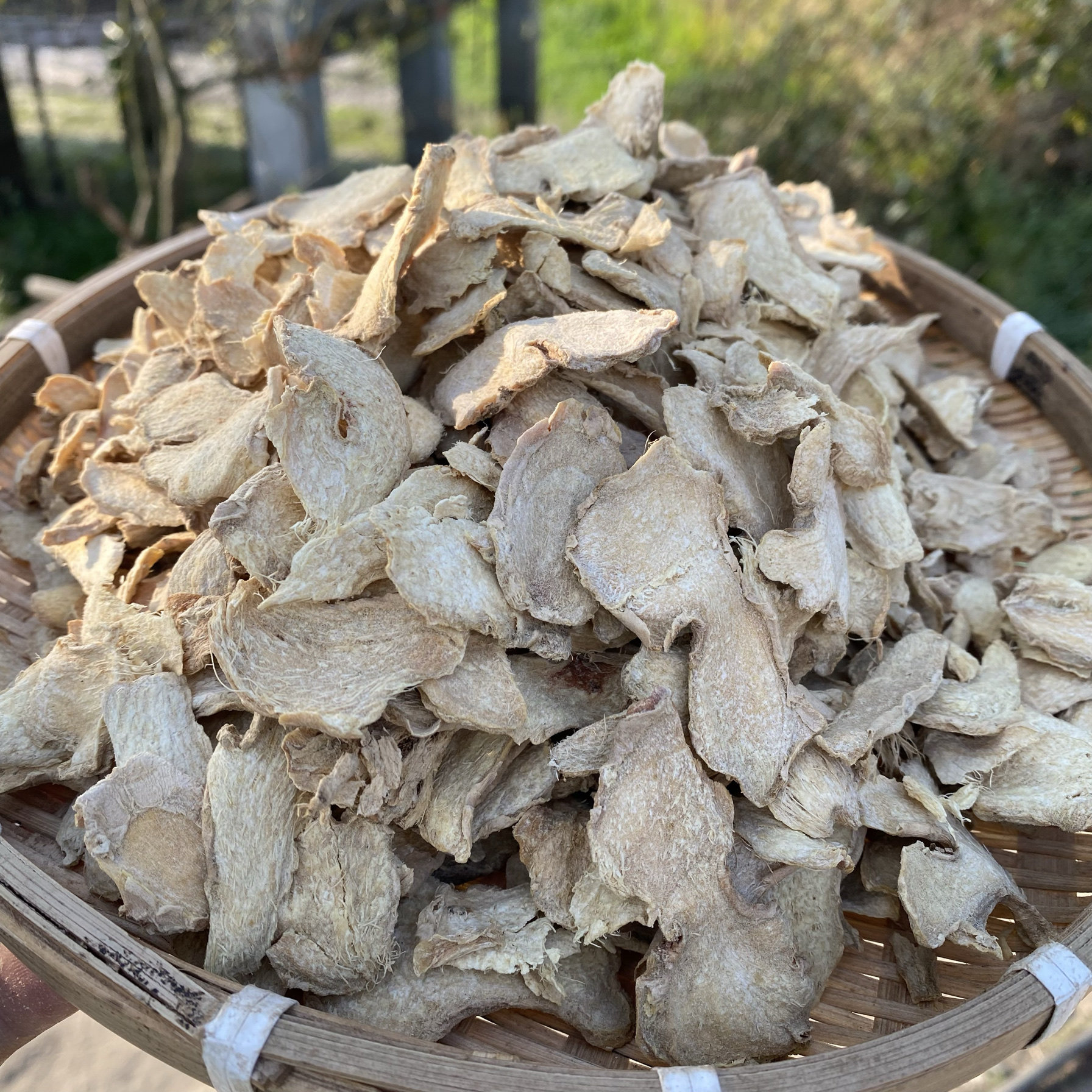 缅甸[小黄姜干姜片]老生姜红糖枣泡茶水搭配消炎大王