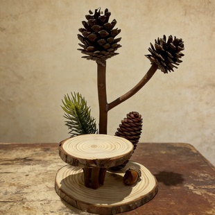 森系松果摆件艺术品装饰创意手工diy天然干果小茶几幼儿园环创