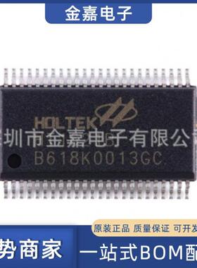 HT1621B TSSOP-48原装芯片单片机RAM控制器MCU 一站式BOM配单贴片