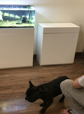 超白缸专用底柜中型水族底柜水草缸生态鱼缸底柜防ADA柜定做底座