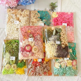 永生花diy精致款干花材料相框团扇浮游瓶花材幼儿园武汉真花装饰